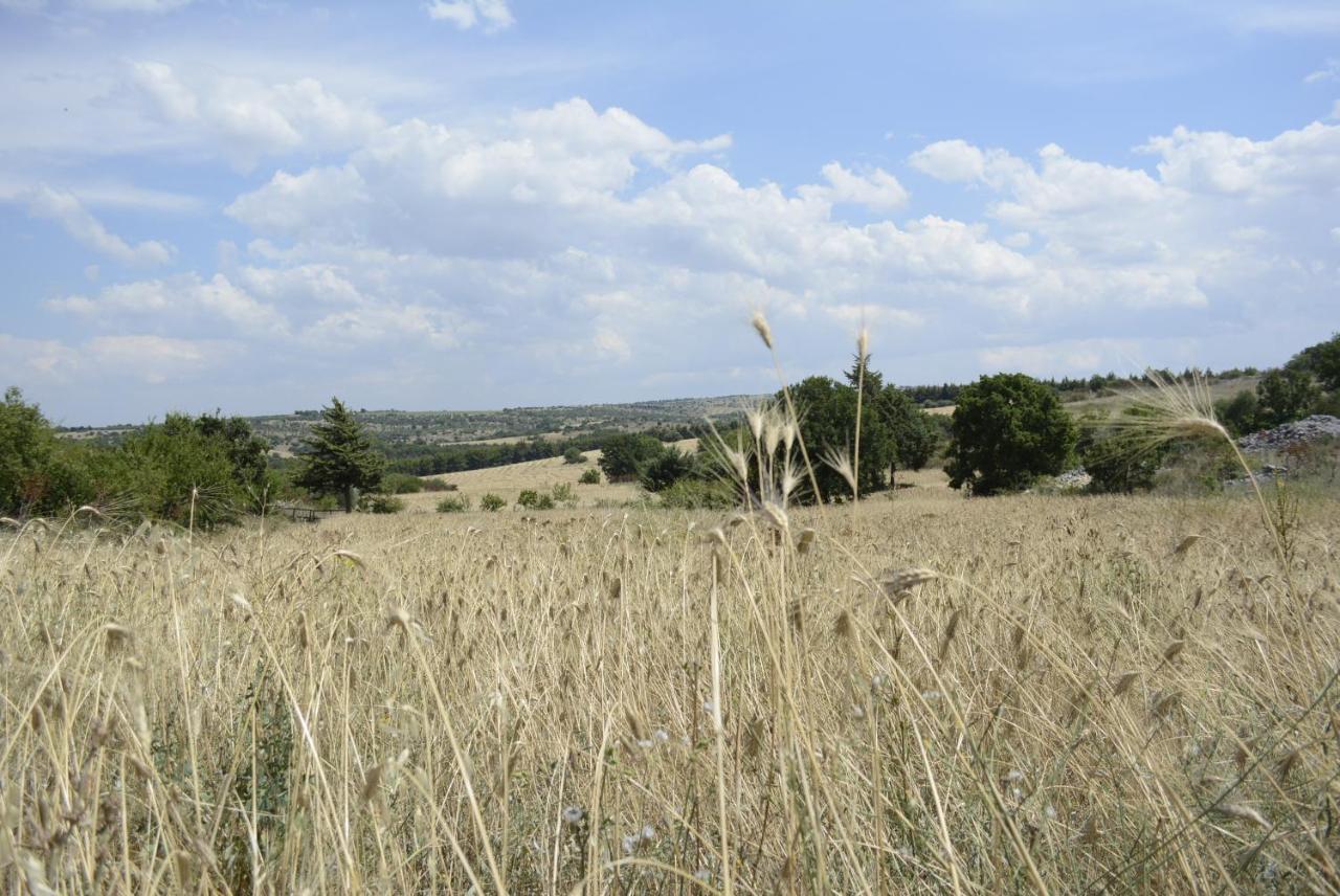 Agriturismo Poggio Ferrata Ruvo di Puglia Exterior foto