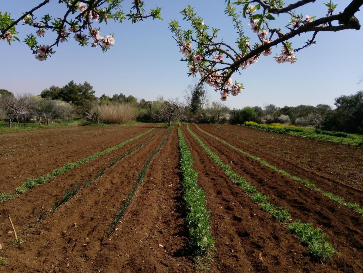 Agriturismo Poggio Ferrata Ruvo di Puglia Exterior foto